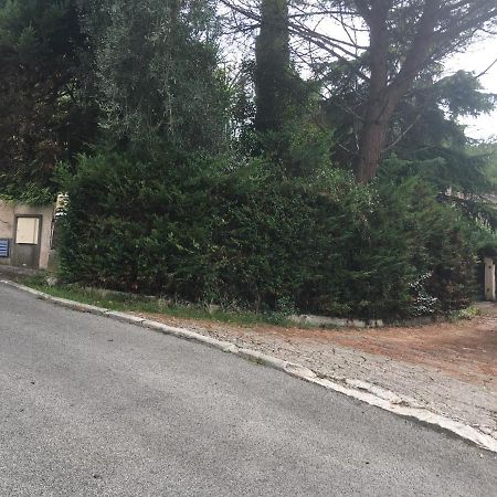 Le Cannet 10Mn Cannes Chambre Independante Etage D'Une Maison Avec Piscine Екстериор снимка